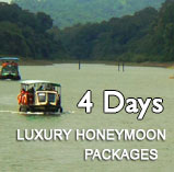 Kerala Luxury Honeymoon  Packages for 4 days