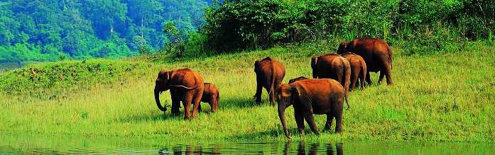 Amazing 6 days Kerala tour packages
