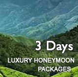 3 days 2 nights luxury kerala honeymoon packages