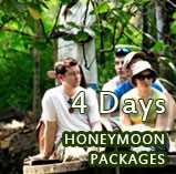kerala honeymoon packages 3 nights and 4 days