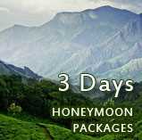 kerala honeymoon packages 2 nights and 3 days